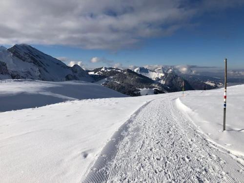 Gemütliche Wohnung in Seelisberg (Gemutliche Wohnung in Seelisberg) in Seelisberg