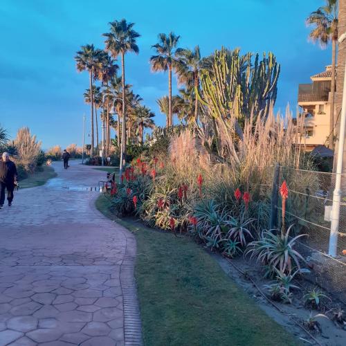 المنطقة المحيطة, Relaxing beach side apartment in Costalita in Playa del Sol Villacana