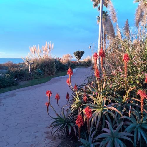 المنطقة المحيطة, Relaxing beach side apartment in Costalita in Playa del Sol Villacana