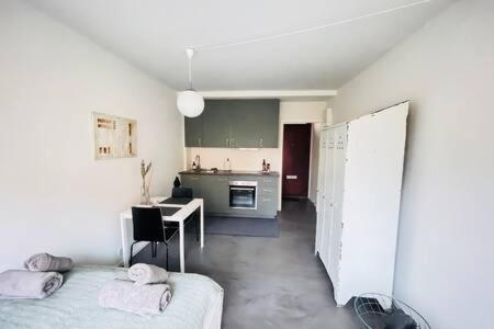 INACTIVE Cozy & Modern Studio by Metro Station, Kodaň (fotografie 6)