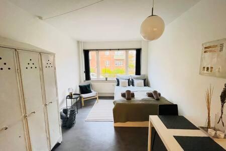 INACTIVE Cozy & Modern Studio by Metro Station, Kodaň (fotografie 7)