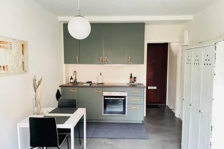 INACTIVE Cozy & Modern Studio by Metro Station, Kodaň (fotografie 9)