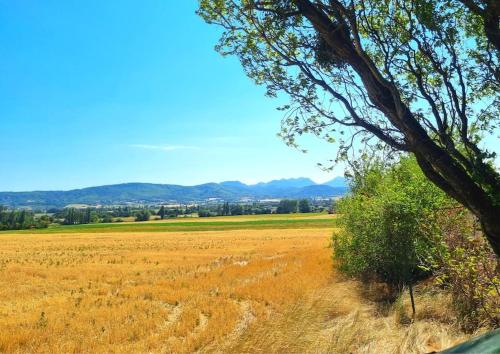 La Petite maison marsannaise - Location saisonnière - Marsanne