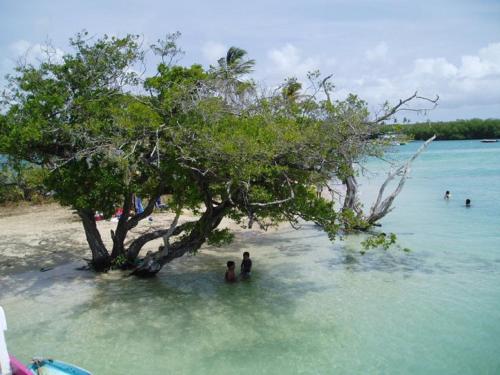 The Nest Tobago Apartments