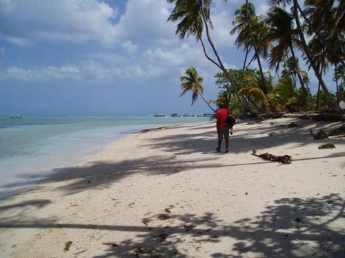 The Nest Tobago Apartments