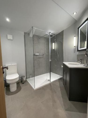 The Durham Ox - main image