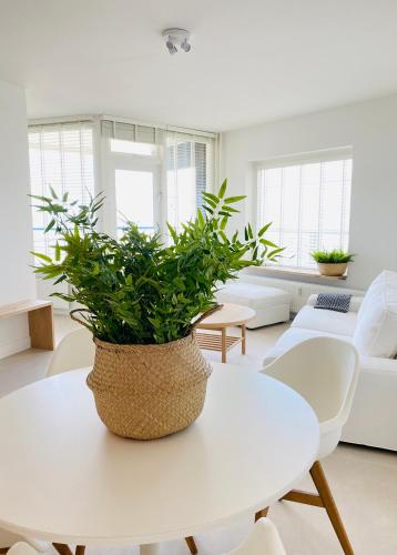 Sterflat 189 in Egmond aan Zee