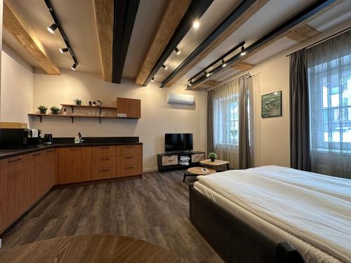 Colonel Suites & Apartments Room Type - Studio