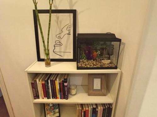 Apartamento Luz de Levante, Córdoba (fotografie 9)