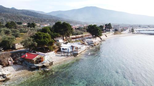 Thassos Fish Cave