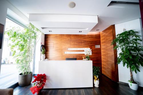 Hotel Parnaso in 特雷拜薩斯