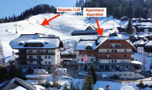 Sonnleitn AlpinWell Appartment (Ski in&out + Wellness)