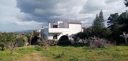 Asinara, Sassari (fotografie 7)