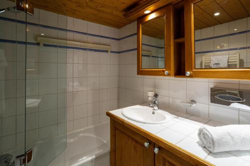 Ginabelle 14 apartment - Chamonix All Year - image 7