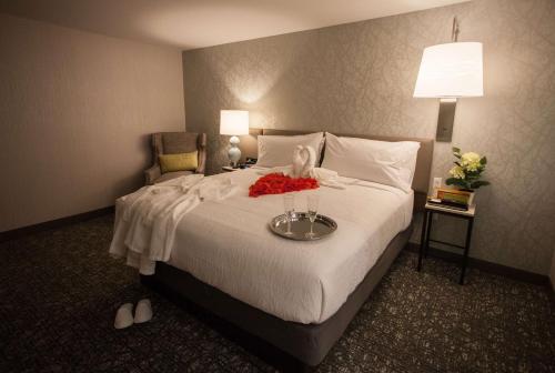 Hilton Garden Inn Springfield - image 2