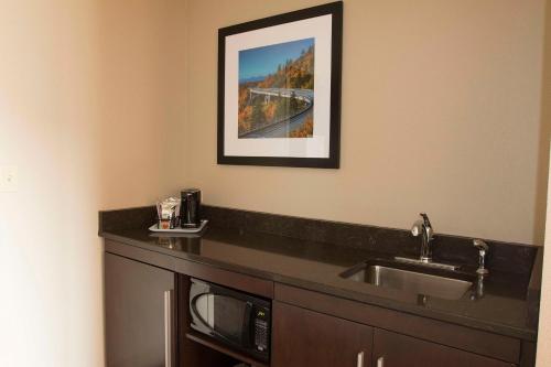 Hampton Inn & Suites Boone Nc - image 13