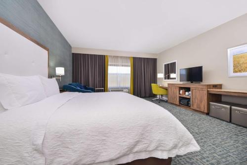 1 king bed, 1 sofa bed