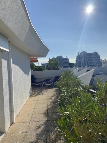 Apartment with Terrace image 10