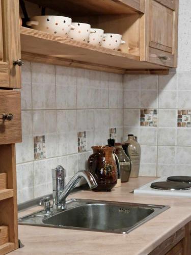 Kitchen, Vila Anna in Teteven