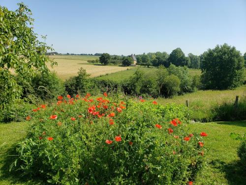Gîte Asnières-sur-Vègre, 3 pièces, 5 personnes - FR-1-410-162 (Charmante maison paysanne renovee avec grand terrain, proche de la riviere et du village medieval - ) in 馬德連聖里歐納