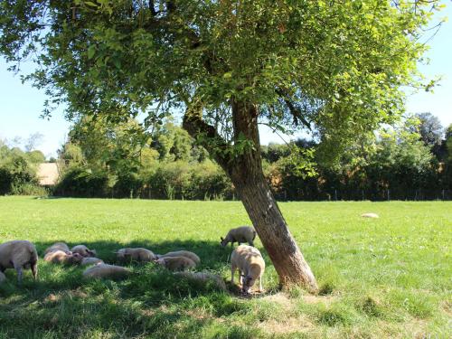 Gîte Berfay, 5 pièces, 11 personnes - FR-1-410-157