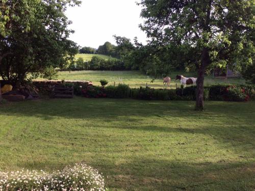 Gîte Chemiré-en-Charnie, 4 pièces, 8 personnes - FR-1-410-255 (Gite familial restaure en pleine nature avec terrasse, proche foret, ideal pour groupes et PMR - FR-) in Chemiré-en-Charnie