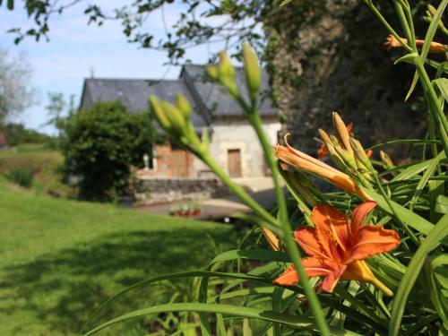 Gîte Cérans-Foulletourte-Cérans, 2 pièces, 2 personnes - FR-1-410-327