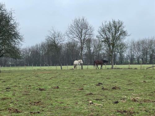 Gîte Saint-Georges-du-Rosay, 3 pièces, 6 personnes - FR-1-410-385