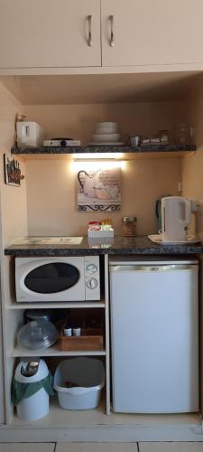 Coral Tree Guest Rooms in Worcester