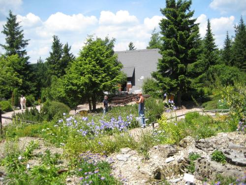 Pension Haus Flora in Oberhof