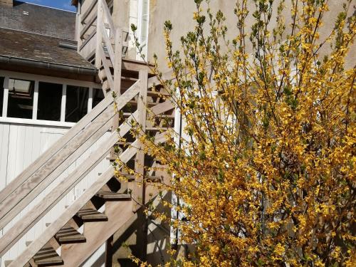 Gîte Bazoches-les-Gallerandes, 3 pièces, 4 personnes - FR-1-590-155 (Escapade touristique: gite avec 2 chambres, TV et cuisine equipee a Bazoches-les-Gallerandes - FR-1-) in 퐁텐블로 시내