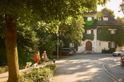 Gästehaus Englischer Garten, Mnichov (fotografie 5)