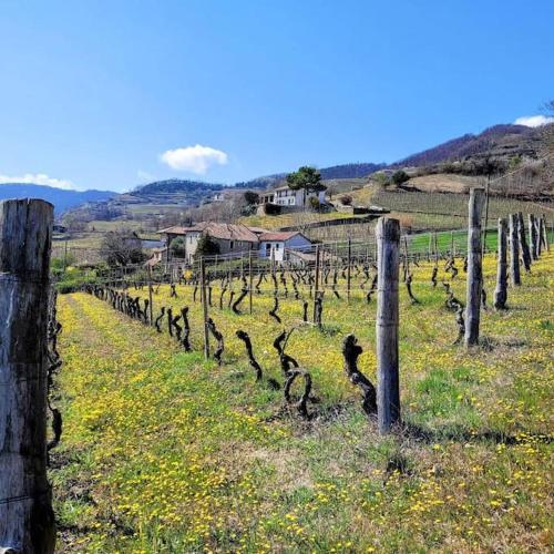 Cascina Marenco Langhe Country House - Apt Barbera