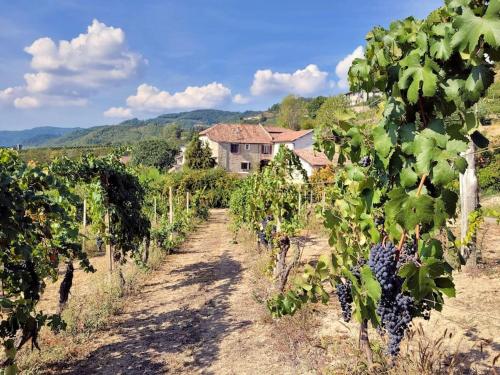 Cascina Marenco Langhe Country House - Apt Barbera