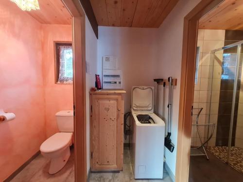 Gîte Ban-sur-Meurthe-Clefcy, 3 pièces, 4 personnes - FR-1-589-182 (Chalet chaleureux face aux pistes, proche Gerardmer, ideal pour famille, balcon et terrasse - FR-1-5) in Ban-sur-Meurthe-Clefcy
