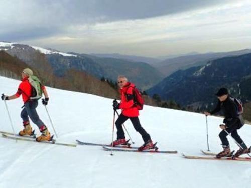 Gîte La Bresse 3 pièces 4 personnes - FR-1-589-189 - image 3