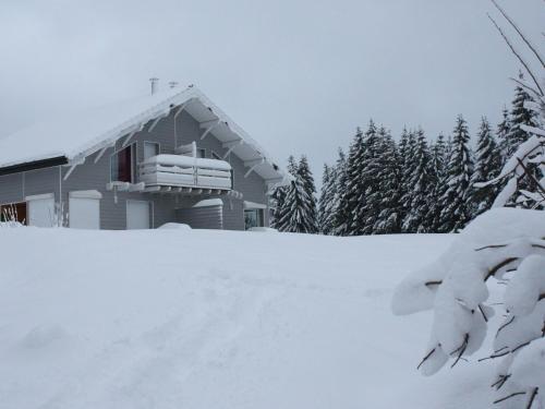 Gîte Le Tholy, 4 pièces, 6 personnes - FR-1-589-217