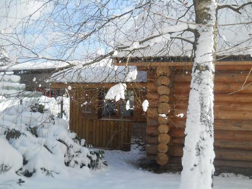 Gîte Le Saulcy, 2 pièces, 3 personnes - FR-1-589-228