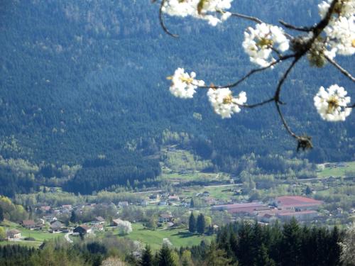 Gîte Saulxures-sur-Moselotte 3 pièces 4 personnes - FR-1-589-281 - image 11