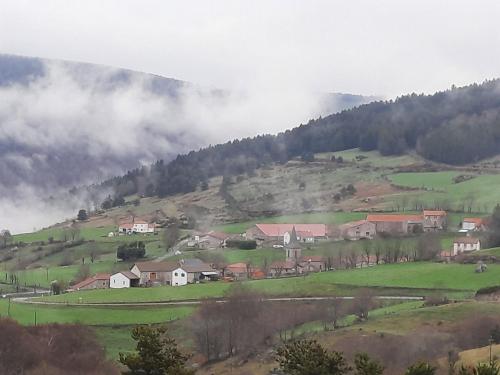 Gîte 10 pers avec 4 chambres et 3 salles d'eau, animaux admis - FR-1-582-94 (Gite 10 pers avec 4 chambres et 3 salles d'eau, animaux admis - FR-1-582-94) in Laguiole