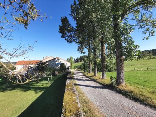 Gîte Saint-Romain-Lachalm 1 pièce 2 personnes - FR-1-582-264 - image 3