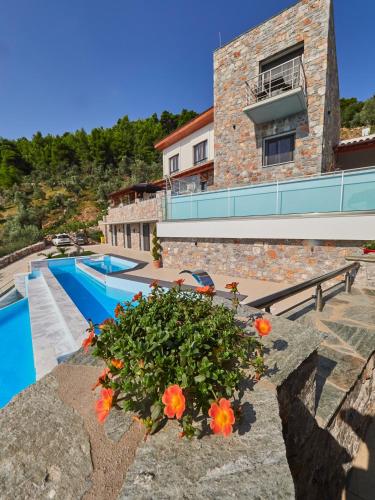 Superior Villa image 6