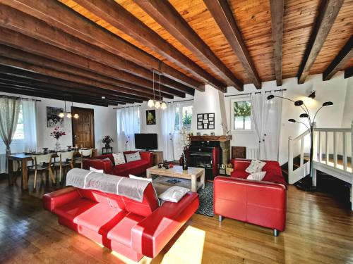 Grande maison au cœur d'un village historique avec terrasse et WIFI inclus - FR-1-582-308 in Mende
