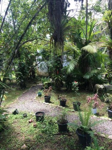 Chácara na Mata Atlântica (Chacara na Mata Atlantica) in Porto de Cima