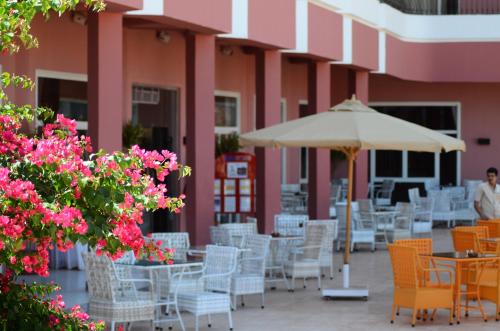 MG Alexander The Great Hotel in Qesm Marsa Alam