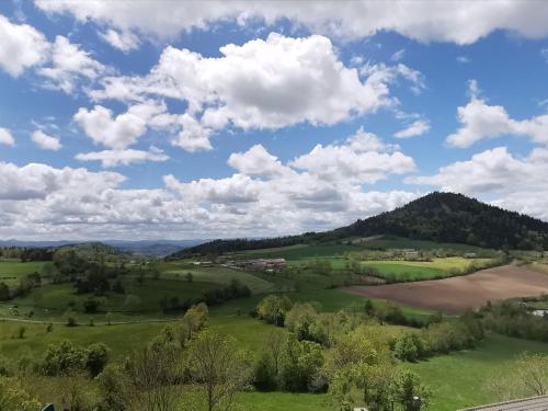 Gîte familial avec cour, ping-pong, proche Lyon et Clermont-Ferrand - FR-1-582-330 (Gite familial avec cour, ping-pong, proche Lyon et Clermont-Ferrand - FR-1-582-330) in Chanas