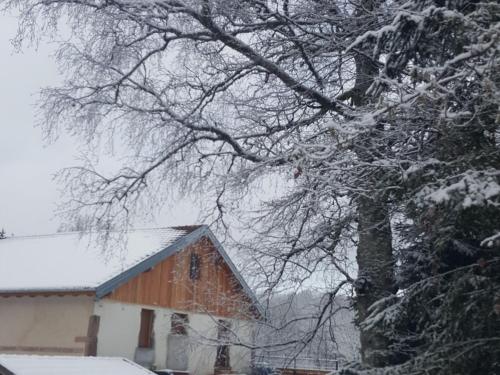 Gîte Le Tholy, 2 pièces, 2 personnes - FR-1-589-384