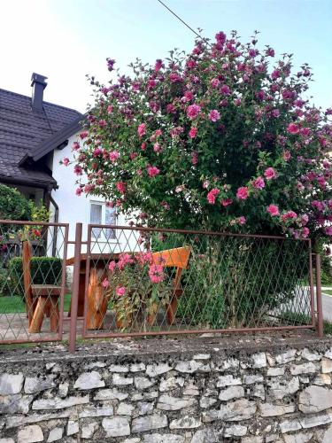 Guesthouse Milka