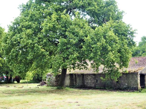 Gîte Sallertaine, 2 pièces, 2 personnes - FR-1-426-487