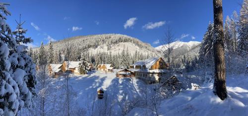 Chaty a horský hotel Kožiar - Hotel - Žiar